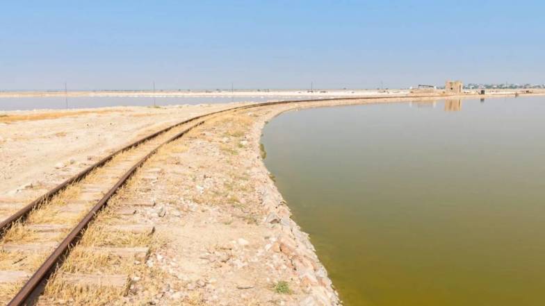 सांभर झील